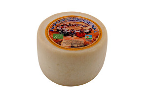 Pecorino